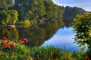 Ścieżka edukacyjna Wykno – kompleksowa infrastruktura dydaktyczna w Nadleśnictwie Nidzica